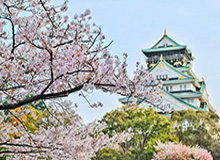 卷九十九上王莽传第六十九上_《汉书》卷九十九上王莽传第六十九上 在线阅读_正史_史部